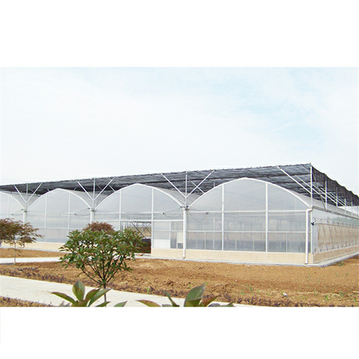 Muti Span Greenhouse