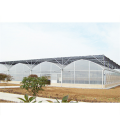 Greenhouse di pellicola di plastica di Multi Span per l&#39;agricoltura