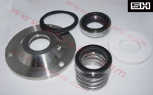 APV pump seals SH P06