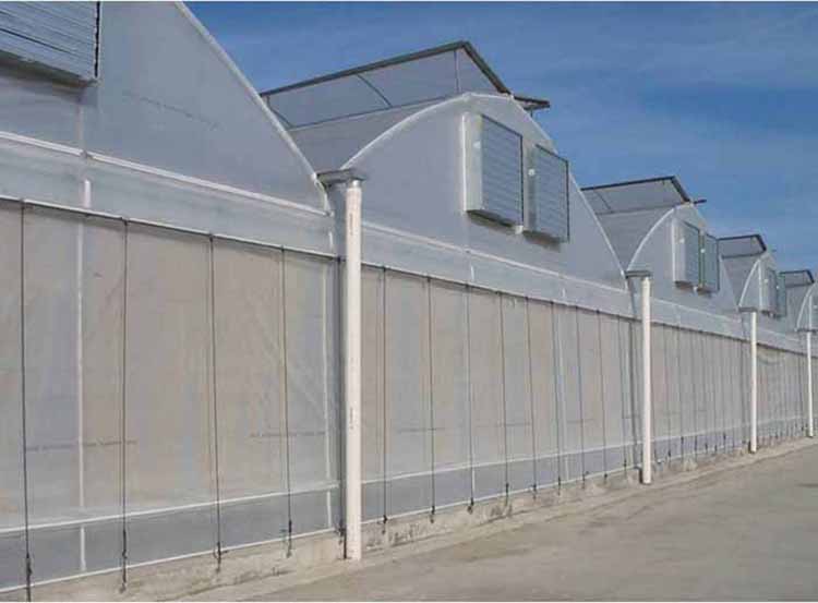 Multi-span arch plastic film Greenhouse tomato greenhouse