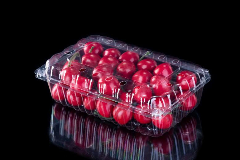 Conteneur de fruits en plastique jetable pour le japonais