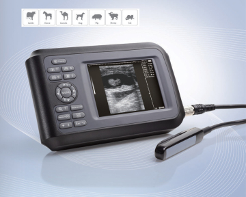 Portable Veterinary use Ultrasound Scanner
