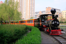 Amusement Electric Track Train in stock