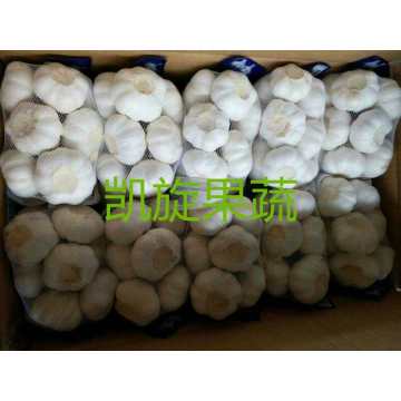 2020 best wholesale fresh garlic price
