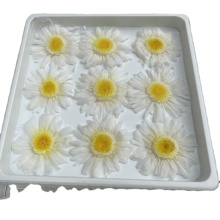 Preserved Flower Arrangements: Gerbera Daisies and Sunflowers