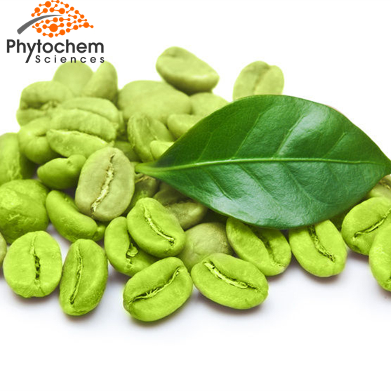 Chinese High Quality epimedium sagittatum extract epimedium sagittatum powder epimedium extract benefits