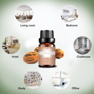 Premium Quality 100%Pure Nutmeg essential oil for body