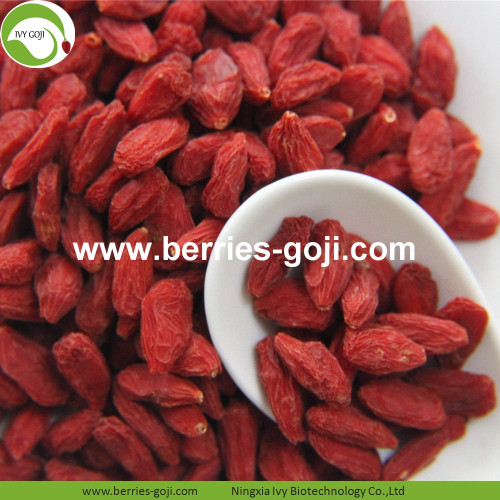 Lose Weight Dried Natural Healthy Himalayan Wolfberry