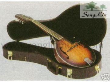 mandolin case