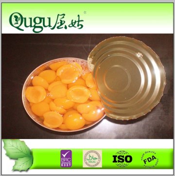 bulk sale canned apricot in syrup