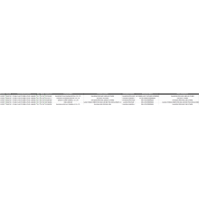 VITAMIN C China Export Data Customs