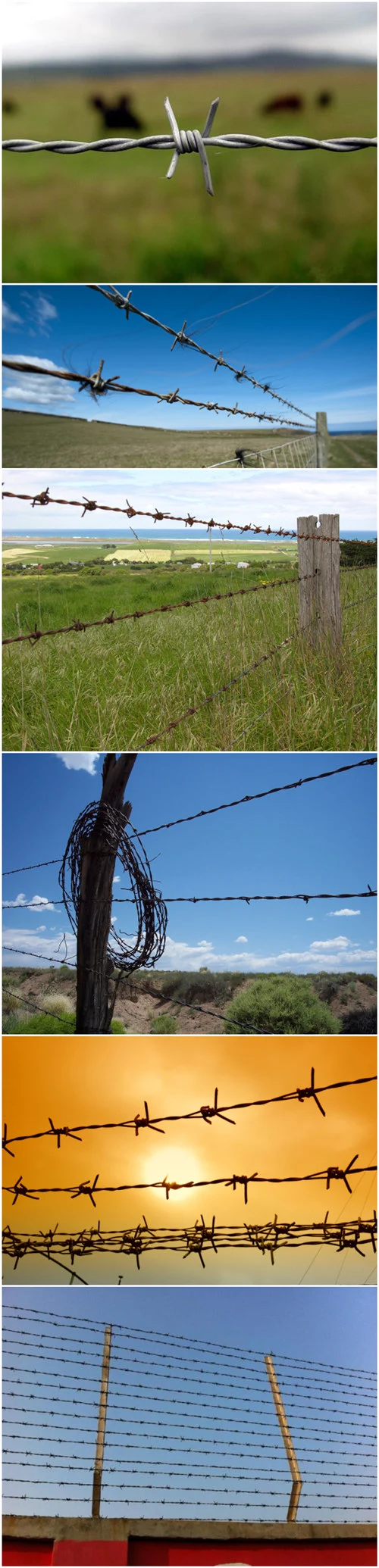 Amazon Hot China Expert Supplier of Barbed Wire Fencing