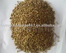 coriander seeds