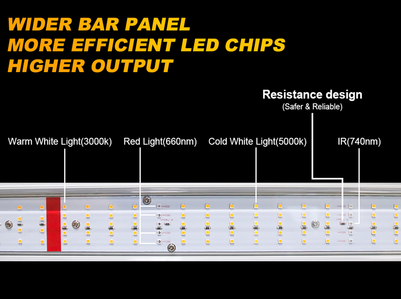 Horticulture Greenhouse 720W Planta interna LED LUZ LUZ