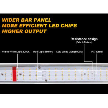 Hydroponics luces de cultivo interior 700W para jardinería interior