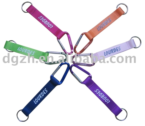 Carabiner lanyard