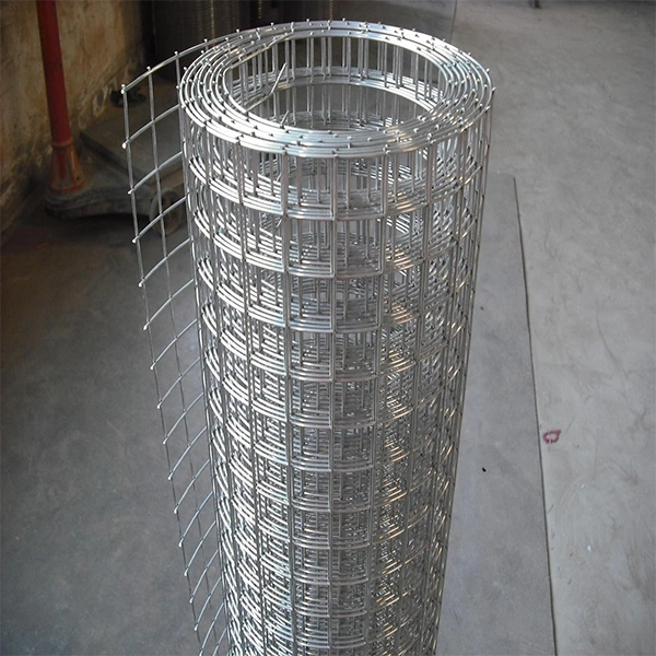 Galvanized Welded Wire Mesh