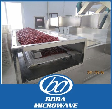 continuous microwave herbs dryer