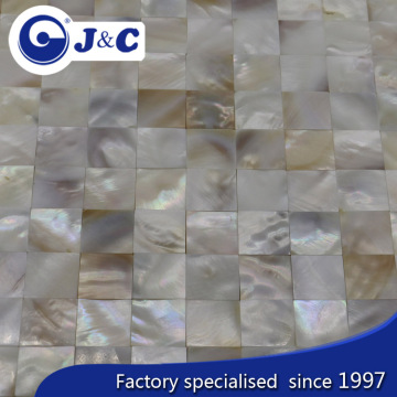 natural varicolored river shell mosaic