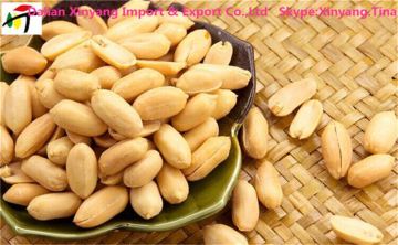 raw peanuts/peanuts raw/wholesale roasted peanuts