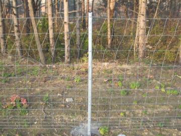 filed fence cattle fence farm fence cheap price