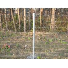 ISO factory galvanized durable grassland filed fence