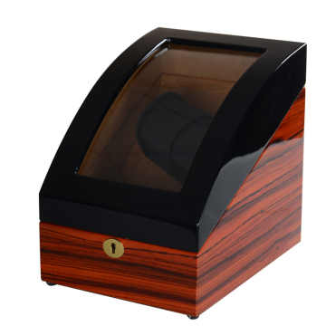 watch case automatic winder