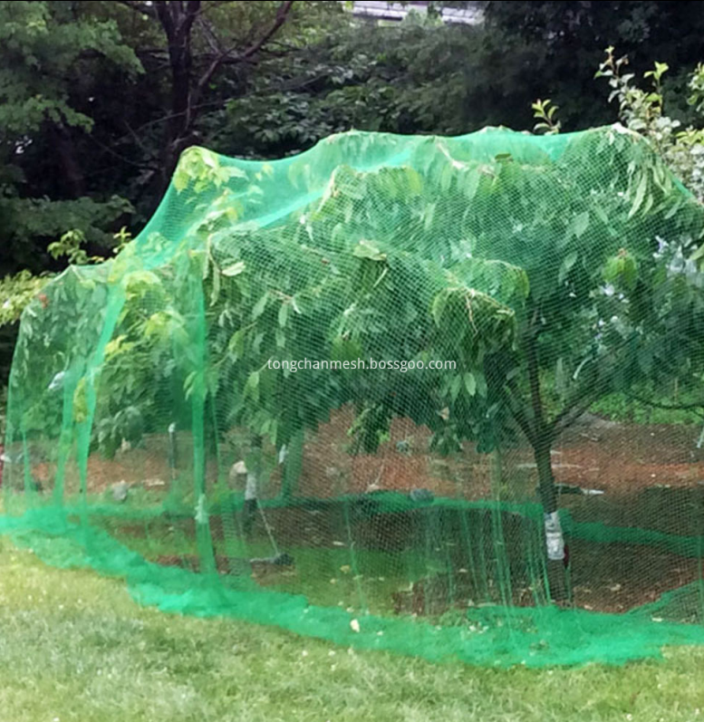 Pokok Pelindung Mesh Plastik