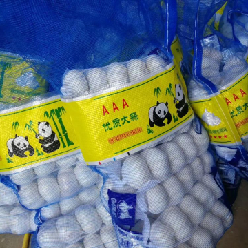 Natural Fresh White Garlic Wholesales