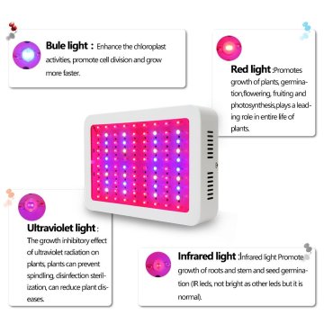 300W LED Grow Light untuk Loji Rumah Hijau Dalaman