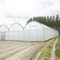 Greenhouse en plastique commercial renforcé avec équipement