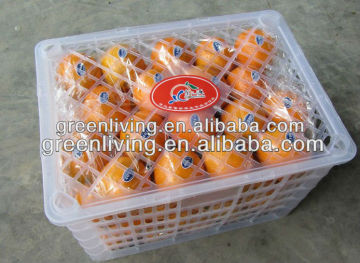 fresh navel orange so cheap price