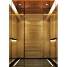 Best Selling Luxury Villa Elevator 400KG Residential Fuji Elevator
