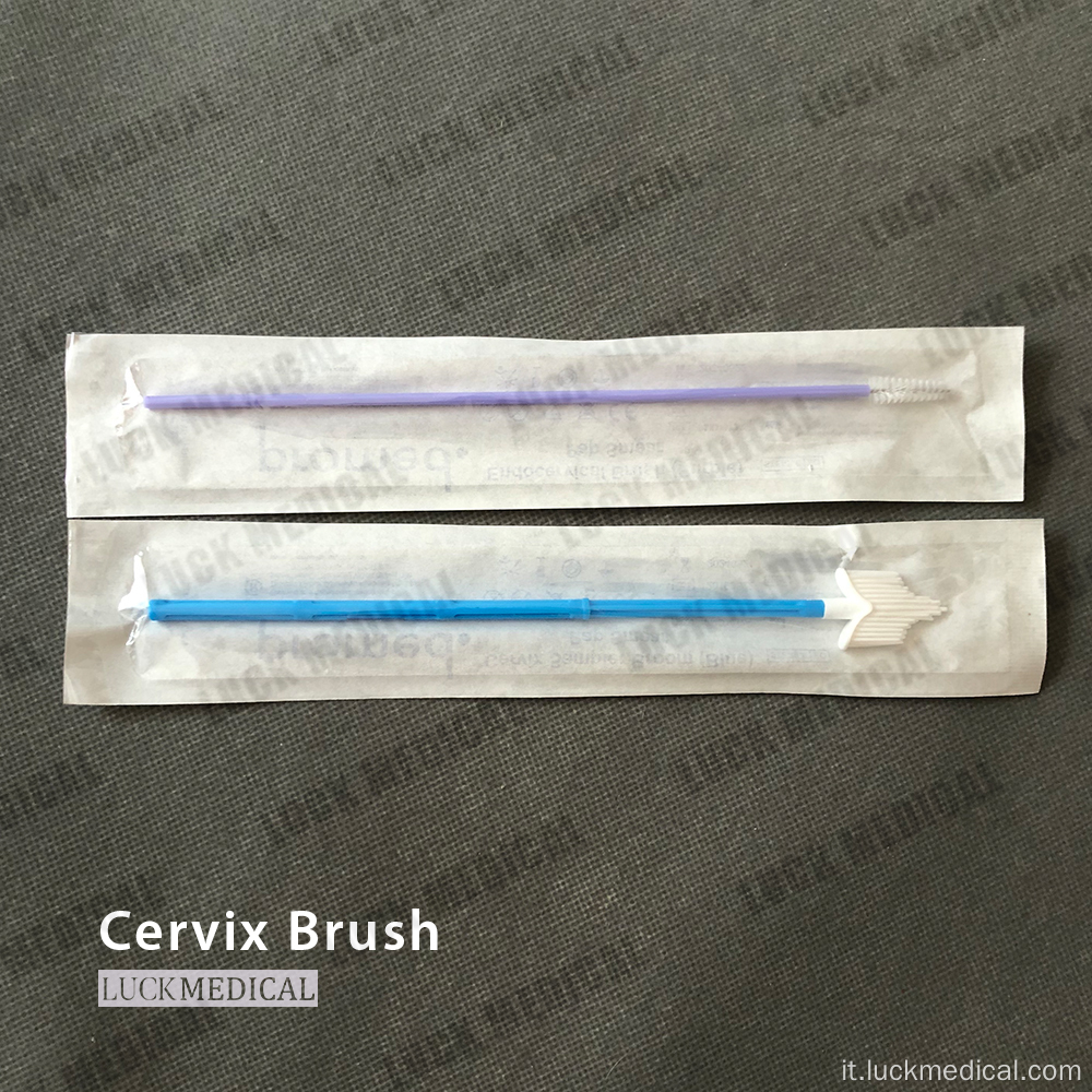 Spazzola cervicale sterile cytobrush pap striscia