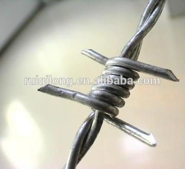 Galvanized Barbed wire, Stainless steel barbed wire mesh, barbed wire fencing