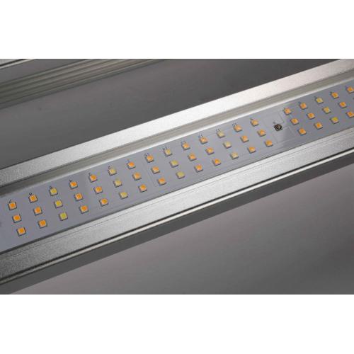 Led fedelizzate coltivano la luce Samsung