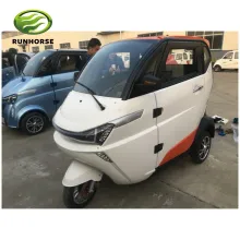 Ce/Coc/EEC L2e Approved Three Wheel Electric Car