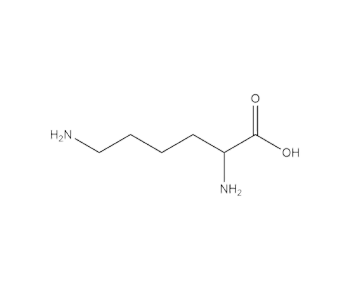 acid correction agent L-alanine