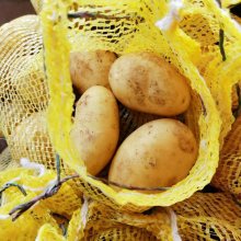 Export Standard New Crop Potato