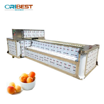 User-Friendly Cherry and Apricot Pit Removal Machine