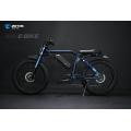 Powerful electric bike 48V 1000W ebike