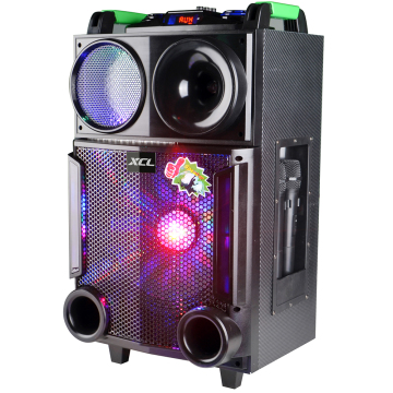 Portable amplifier trolley speaker outdoor with wireless mic