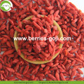 Factory Supply Hot Sale Torkad Himalayan Wolfberry