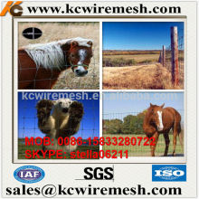 Factory!!!!! Here!!!! KangChen Grassland fencing / pasture fence