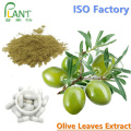 Натуральный растительный экстракт листьев оливкового экстракта олеуропеин 40%