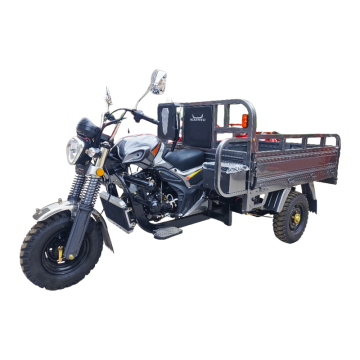 Tricycle Normal Tricycle Top Quality Normal Tricycle for Sale