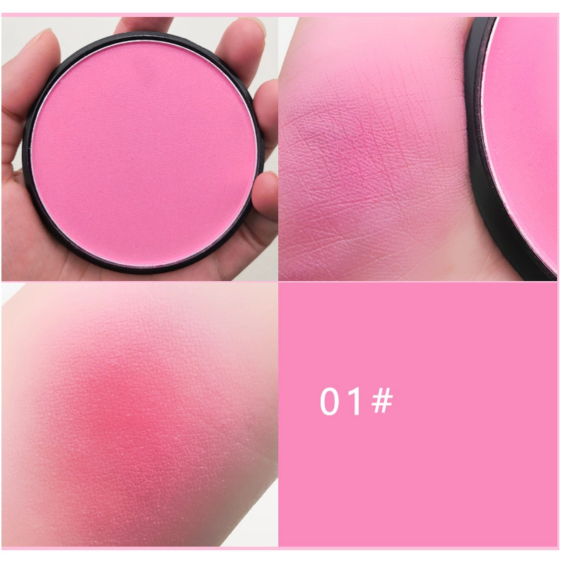 Wholesale Cosmetics Powder Blusher Custom Logo Multi Color Blush
