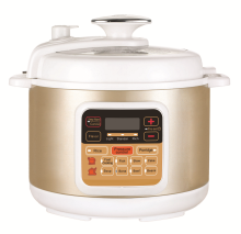 Computer controlled Electric pressure cooker