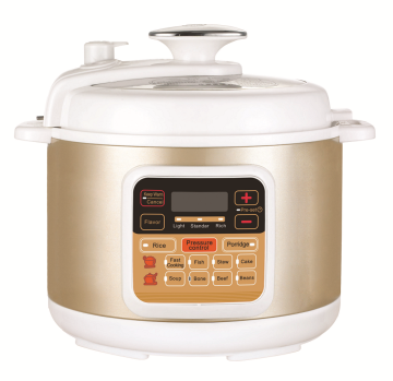 Computer controlled Electric pressure cooker