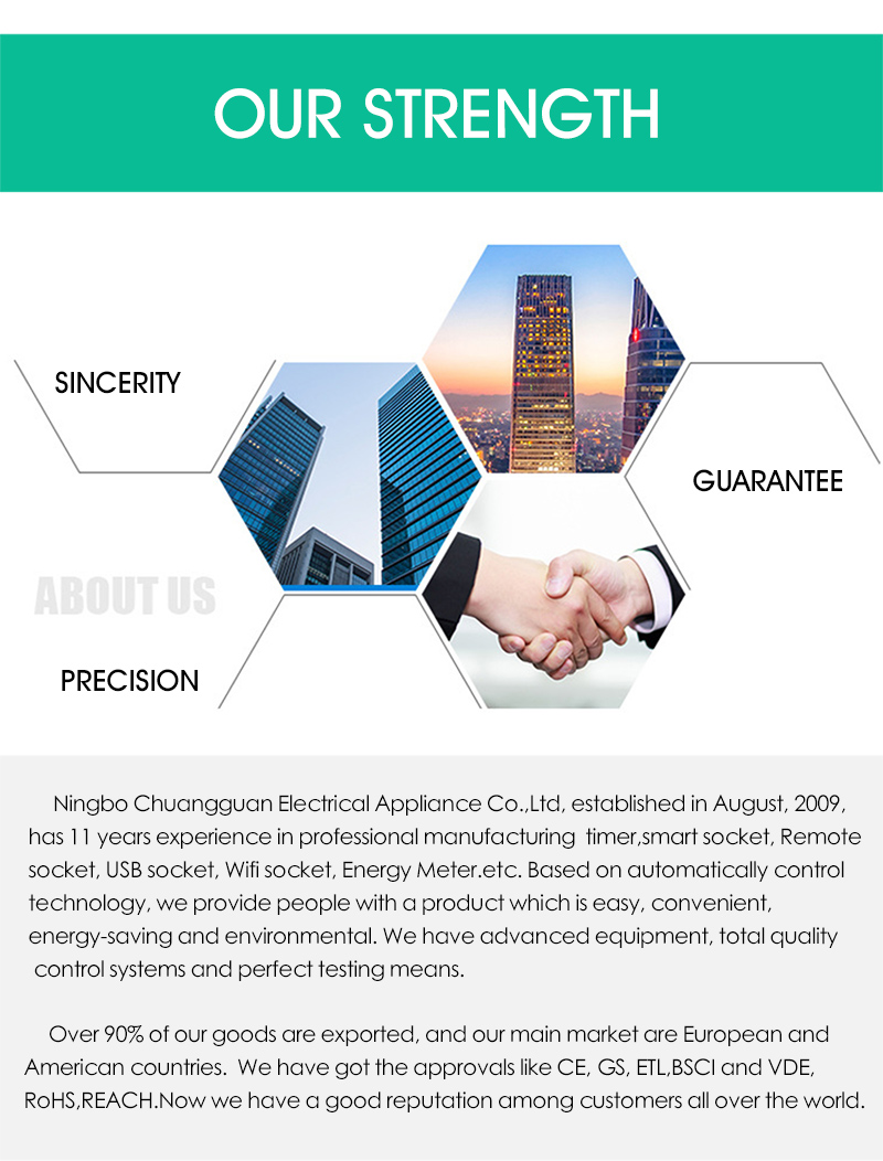 T10 24 Hours Daily Mechanical Timer Switch Module